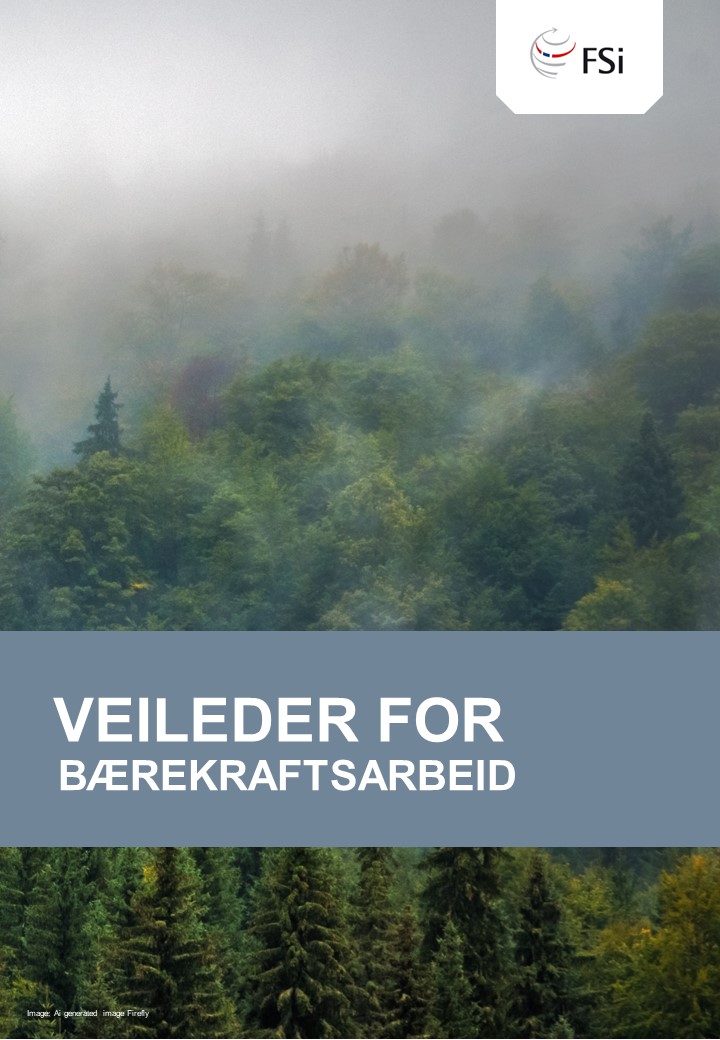 Veileder For Bærekraft